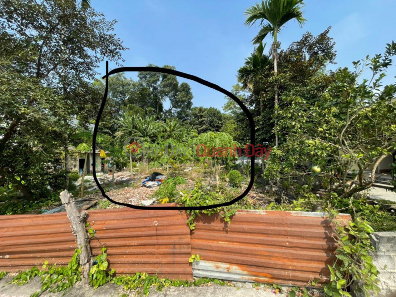 Property Search Vietnam | OneDay | Residential Sales Listings BEAUTIFUL LAND - GOOD PRICE - Owner Needs to Sell Land Lot with Beautiful Location In An Duong Town, Hai Phong