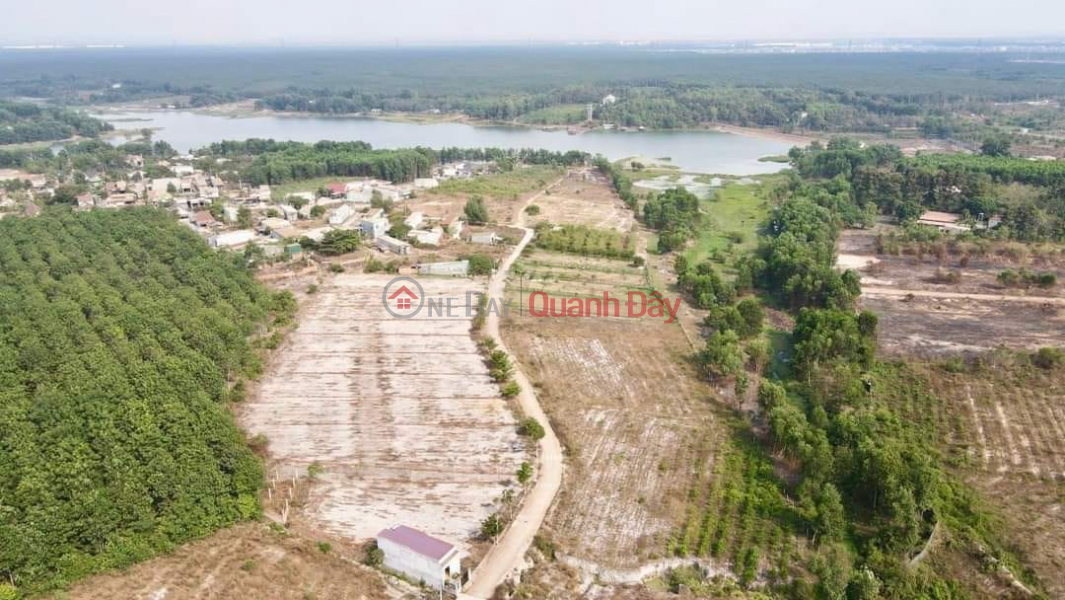 đ 4.19 Billion, OWNERS are tight on money and will still sell land in LONG DUC COMMUNE, LONG THANH, 0938974428