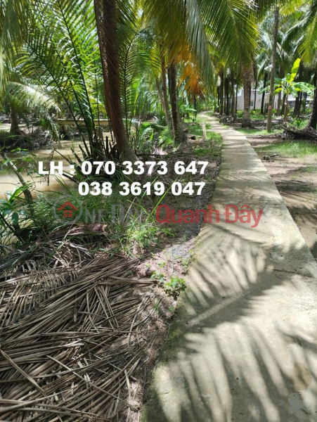 Owner Sells Beautiful Land Lot in Thoi Lai Commune, Binh Dai District, Ben Tre - Investment Price, Vietnam | Sales đ 650 Million