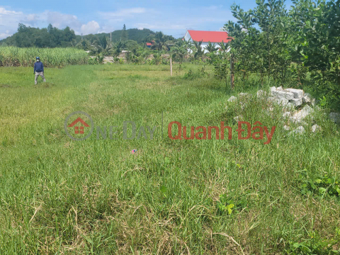 Beautiful land plot for quick sale by owner in Dien Tan, price only 2.6 million\/m, nearly 70m from HL62 _0