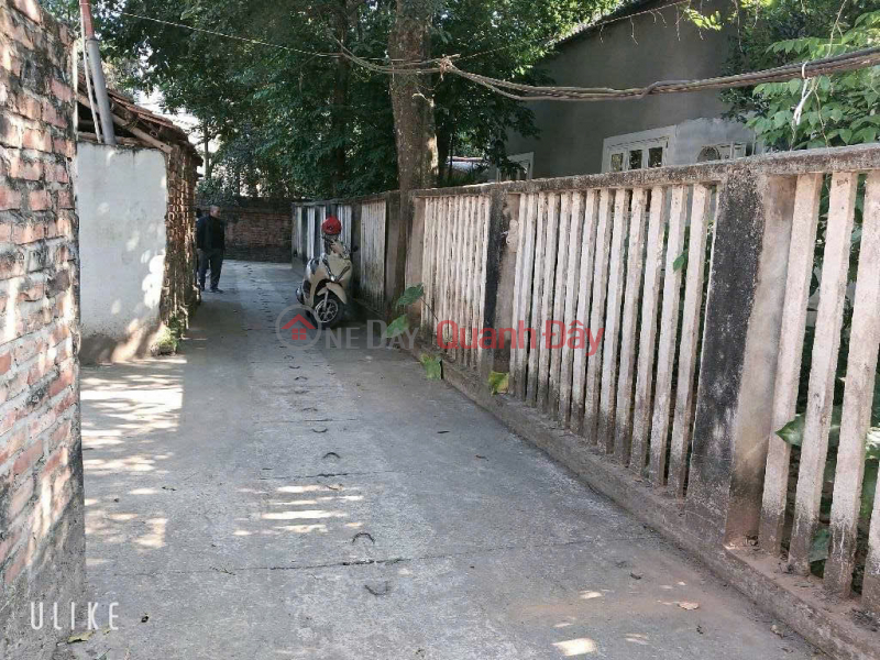 60m đất thôn Bảo Tháp, Kim Hoa, Mê Linh. Ba bước chân tới đường Vành Đai 4 Niêm yết bán