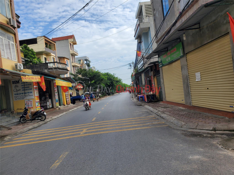 Property Search Vietnam | OneDay | Residential Sales Listings 80m2 of beautiful land in Van Noi, full residential area with 4m5 wide frontage