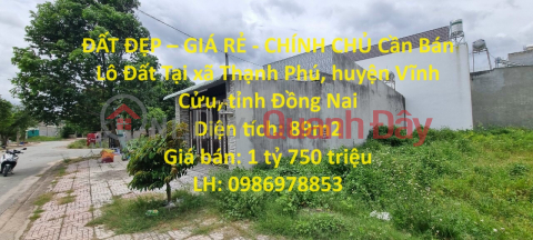 BEAUTIFUL LAND - CHEAP PRICE - OWNER Land Lot For Sale In Vinh Cu - Dong Nai _0
