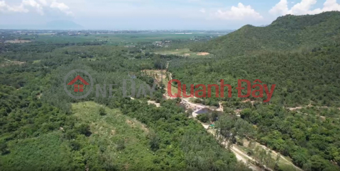 CHÍNH CHỦ BÁN ĐẤT 496ha có sổ đỏ. Chuyển đổi được 100ha sang Đất DVTM _0