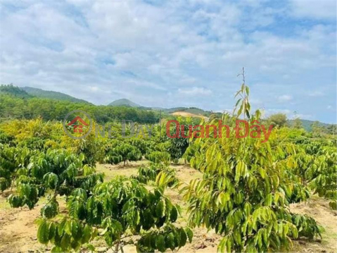 Own a Beautiful Land Lot Right Now At A Prime Location At Nguyen Thien Thuat Street, Loc Chau Commune, Bao Loc City, Lam Dong _0