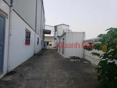Warehouse and factory for sale in Dac So, Hoai Duc, Hanoi, area 1000m2, Selling price 17.9 million\/m2. _0