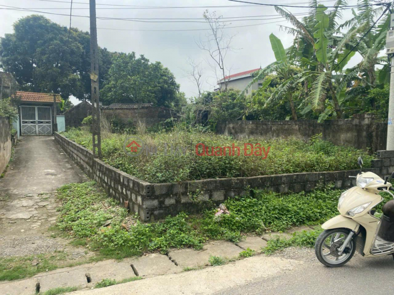 đ 950 Million, BEAUTIFUL LAND - GOOD PRICE - Need to Sell Quickly Land Lot in Prime Location in Nhan My Commune, Ly Nhan, Ha Nam