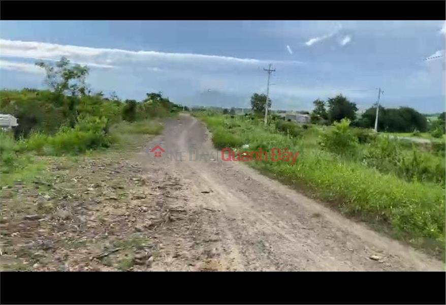 Property Search Vietnam | OneDay | Residential Sales Listings, BEAUTIFUL LAND - GOOD PRICE For Quick Sale Land Front Lot In Binh An Commune Bac Binh, Binh Thuan