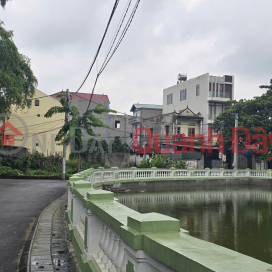 Bán đất mặt Hồ Gia Lộc - Gia Lương, xã Việt Hùng, Đông Anh - Nay là xã Thư Lâm, Thành phố Hà Nội, 91m2, miễn _0