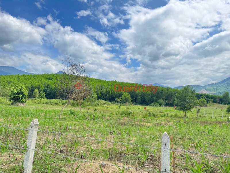 đ 190 Million PRIME LAND – GOOD PRICE – OWNER SELLING Ta Goc Village, Khanh Thuong Commune, Khanh Vinh District