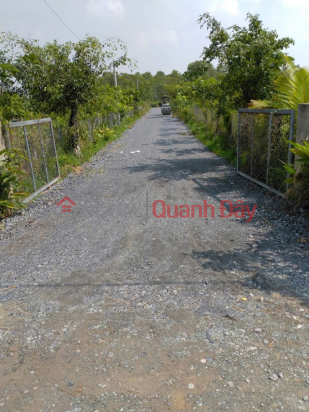 PRIME LOCATION - GREAT PRICE - FOR SALE: 1,119.8 M² GARDEN LAND PLOT WITH TWO FRONTAGES IN TAN PHU TRUNG COMMUNE, CU CHI DISTRICT, HO CHI MINH CITY, Vietnam Sales, đ 4.3 Billion