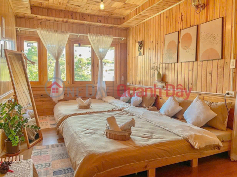 Looking to transfer ownership of a super cute homestay on Nguyen Hoang Street in Da Lat, Lam Dong, for 10 million VND. _0