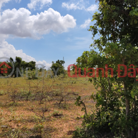 6,480m2 garden land, 500m from the inter-commune road, beautiful land view. _0