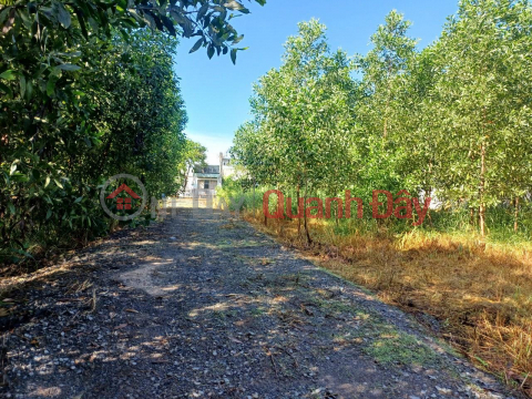 OWNER'S LAND - GOOD PRICE - Need to Sell Land Lot Quickly in An Vien, Trang Bom, Dong Nai _0