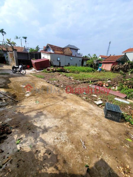 Property Search Vietnam | OneDay | Residential | Sales Listings, Land for sale in Thang Loi commune, 100m frontage, 5.2m wide, expanding to the back, car road to the land, price less than 1.4 billion