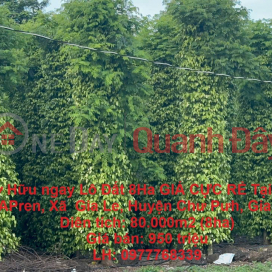 Own a 8-Ha plot of land at an EXTREMELY CHEAP PRICE in APren Village, Ia Le Commune, Chu Puh District, Gia Lai _0