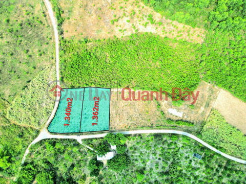 Selling 2 beautiful and cheap plots of land from only 850 million in Khanh Nam, Khanh Vinh Location: _0