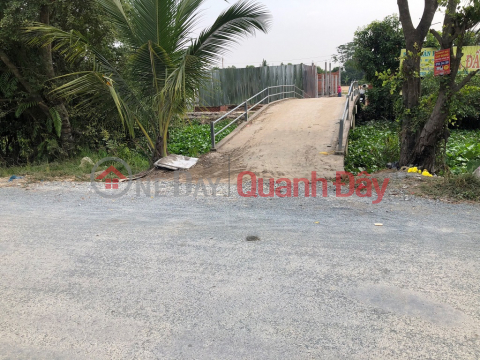 FOR QUICK SALE BEAUTIFUL RESTAURANT LAND - GOOD PRICE In Huu Thanh Commune, Duc Hoa, Long An _0