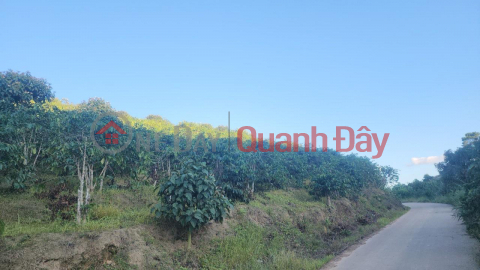 ĐẤT ĐẸP - GIÁ TỐT - Bán Nhanh Lô Đất Vị Trí Đẹp Tại Xã Phi Tô, Huyện Lâm Hà, Tỉnh Lâm Đồng _0