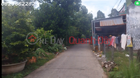 Bán Đất Thổ Cư Đường ĐT 848- Cai Khoa, TP.Sa Đéc. DT 547m2, Sổ Hồng, Giá 3.5 Tỷ _0
