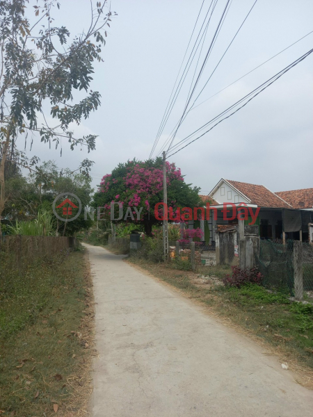 Property Search Vietnam | OneDay | Nhà ở, Niêm yết bán ĐẤT THỔ CƯ MẶT TIỀN ĐƯỜNG XÃ NINH THÂN, NINH HÒA – ĐẤT CHÍNH CHỦ GIÁ RẺ SẬP SÀN