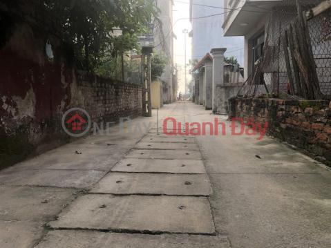 The owner wants to sell 60m TIEN DUONG, DONG ANH, square corner lot with more than 3m lane clearance. Contact 0376692001 _0