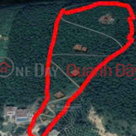 CC sells the most beautiful resort land in Tien Xuan: 20,000m² (residential land, agricultural land, production forest land) only 14.5 billion _0