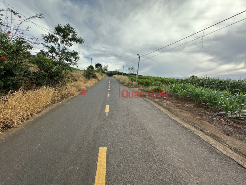 ₫ 5.4 Billion | OWNERS QUICK SALE OF LAND LOT FRONT OF LARGE ASTHMA ROAD Beautiful Location In Lam Ha, Lam Dong