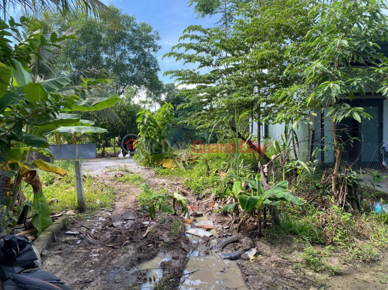 OWNER'S LAND - GOOD PRICE - QUICK SALE Lot of Land in Phu Son 2 Village, Hoa Vang, Da Nang | Vietnam Sales đ 880 Million