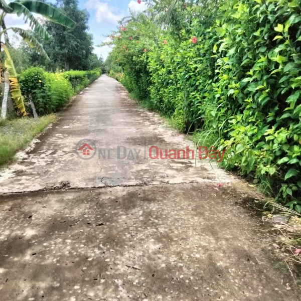 BEAUTIFUL LAND - GOOD PRICE - Land Lot For Sale In Phong Nam Commune, Giong Trom District, Ben Tre Sales Listings