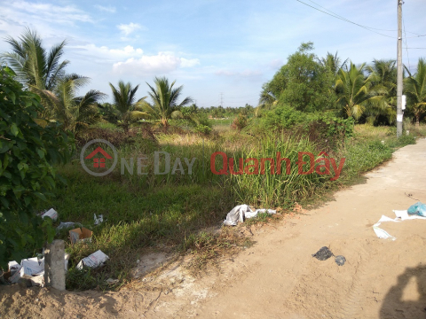BEAUTIFUL LAND - GOOD PRICE - For Sale 2 Adjacent Land Lots Prime Location In Chau Thanh - Tien Giang _0