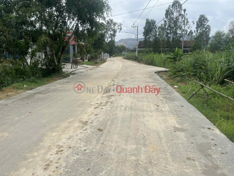 BEAUTIFUL LAND - GOOD PRICE - Owner Sells Land Lot in Nam Tuong 3 Village, Nhon Tan, An Nhon Town, Binh Dinh, Vietnam | Sales | đ 4.05 Billion