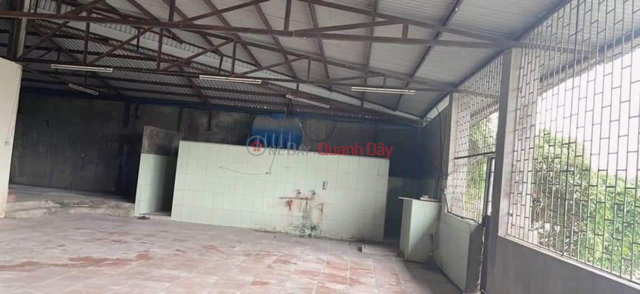 The owner needs to rent a warehouse and factory in Tan Tien village, Minh Tan commune, Phu Cu district, Hung Yen province Vietnam | Rental | ₫ 12 Million/ month