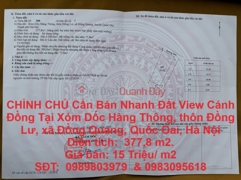 OWNER Needs to Quickly Sell Land Lot with Field View in Dong Quang Commune, Quoc Oai District, Hanoi City Sales Listings