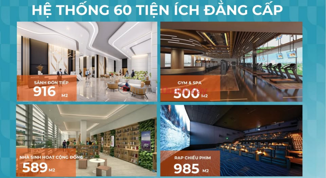 Project Manager - 03333 86 113 Sales Listings (843-4802959165)
