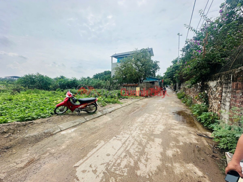 Property Search Vietnam | OneDay | Residential Sales Listings OWNER NEEDS TO SELL 67.2M2 LAND LOT IN PHUNG CHAU-CHUONG MY-HANOI