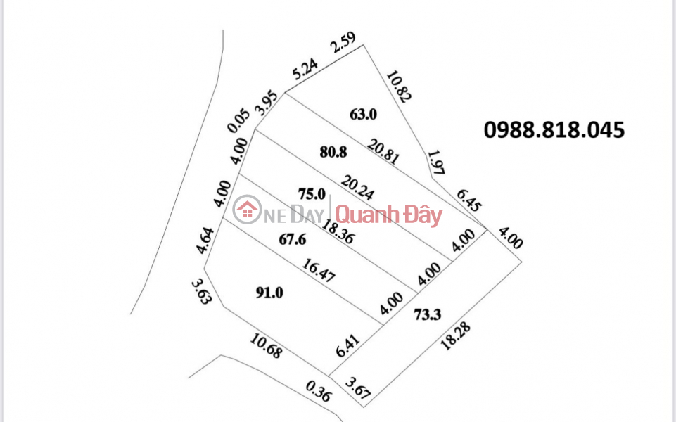 Selling 6 plots of land on Gia Luong Lake (Gia Loc family),Viet Hung commune, Dong Anh, Hanoi, tax free Sales Listings