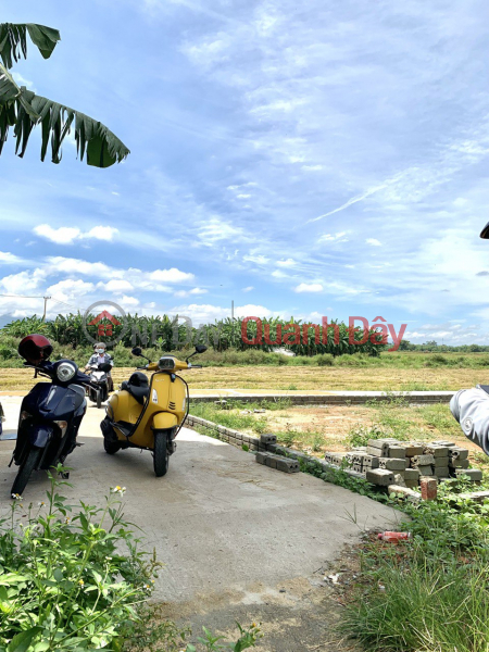 Property Search Vietnam | OneDay | Sales Listings | Extremely beautiful plot of land for sale behind LAC THANH market, price only 5xx for 100m2