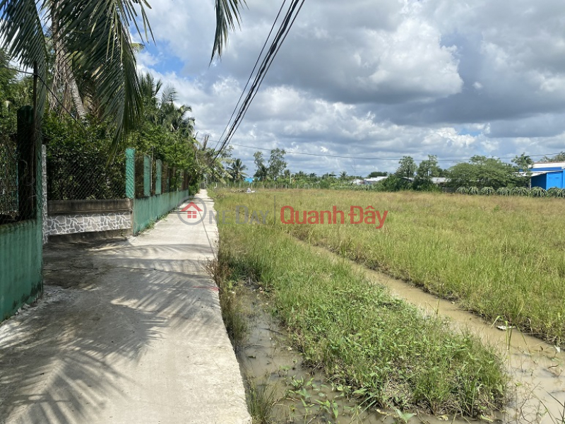 ₫ 499 Million, Owner Needs Urgent Sale of Land Lot Super Nice Location - Investment Price In Cho Gao