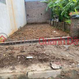 Bán đất dịch vụ tổ 5, Quang Minh, Mê Linh. Gần khu công nghiệp. Khu vực kinh doanh sầm uất _0