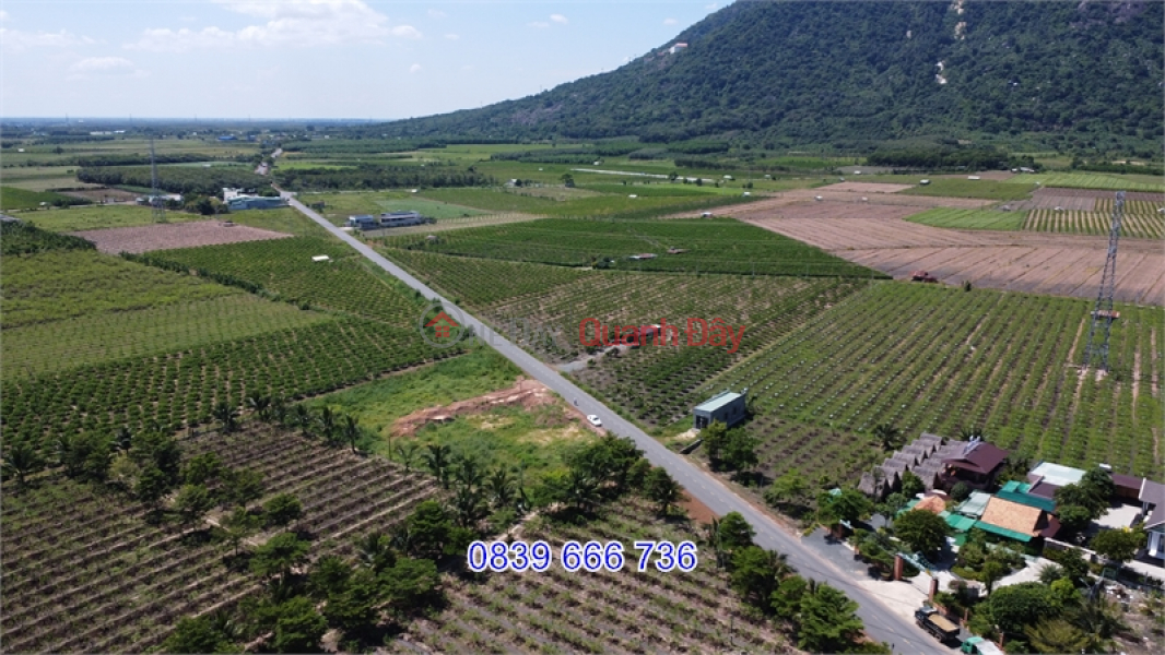 Full of Amenities: Land 86m x 65m, Preferential Price Vietnam Sales | ₫ 170 Million