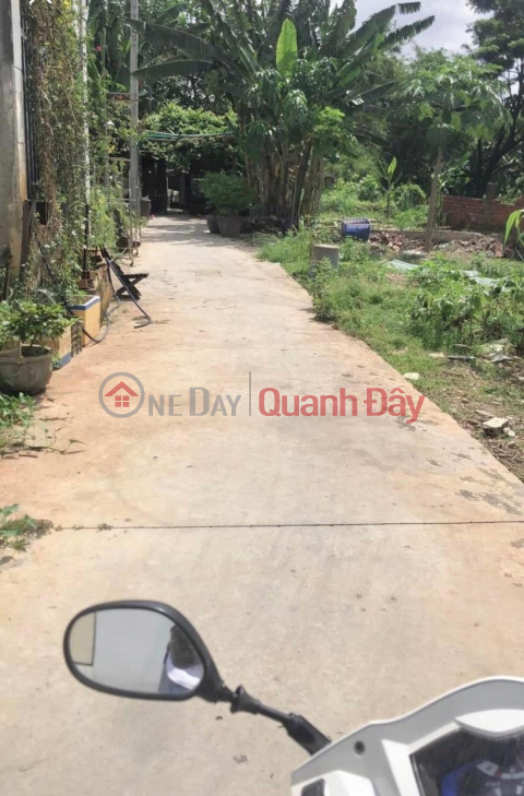 PRIMARY LAND - GOOD PRICE - Need to Sell Quickly in Trang Dai Ward, Bien Hoa City, Dong Nai _0