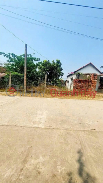 AFFORDABLE LAND – OWNER NEEDS TO SELL QUICKLY A PLOT OF LAND IN BINH NGHI COMMUNE, TAY SON DISTRICT, BINH DINH PROVINCE Sales Listings