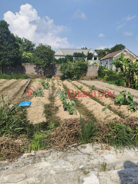 Property Search Vietnam | OneDay | Residential, Sales Listings | Land for sale in Luong Tai, Bac Ninh. 93m2 * frontage 5m * 1.25 billion. Car access to land.