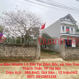 Owner Needs To Quickly Sell A Plot Of Land At Dam Boi, Yen Trung Commune, Thach That District, Hanoi City _0
