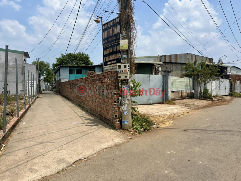 Beautiful Land - Good Price - For Quick Sale Land Front Lot at Ho Nai 3, Trang Bom. Sales Listings