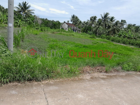 Potential Land Lot for Quick Sale - Good Price in Tam Binh district, Vinh Long province _0