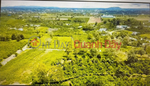 ĐẤT ĐẸP – GIÁ TỐT – CƠ HỘI SỞ HỮU LÔ ĐẤT VÀNG TẠI Đường Quốc lộ 20, Xã Lộc An _0