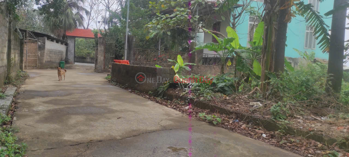 BÁN LÔ ĐẤT ĐẸP - GIÁ TỐT - Vị trí đẹp tại thôn Mai Xá, Gia Thuỷ, Nho Quan, Ninh Bình Niêm yết bán