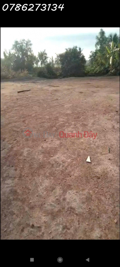 BÁN ĐẤT MẶT TIỀN 30M – TỔNG 6.975m² – CÓ 975m² THỔ CƯ – ẤP 2, XÃ TÂN ĐÔNG, HUYỆN Thạnh Hóa _0